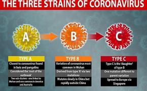 Коронавирус мутировал по мере распространения. Сейчас уже различают три типа вируса
