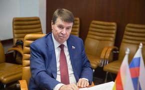 Сенатор назвал неадекватными заявления Турчинова о возвращении Крыма