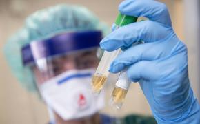 Краснодарский край снизил темп роста заболеваемости коронавирусом