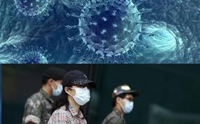 MERS, как предупреждение.  О коронавирусной эпидемии в Южной Корее, случившейся в 2015 году
