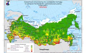 За неделю в 38 регионах России потушено 717 лесных пожаров