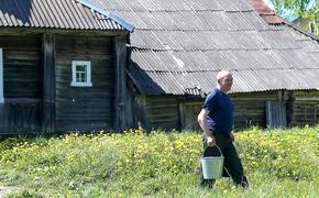 Садоводам могут разрешить проводить общие собрания заочно