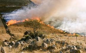 На бывшем арсенале в Удмуртии горит трава, взрываются боеприпасы