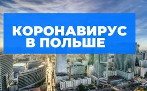 Кризис Речи Посполитой. Польская ситуация с коронавирусом