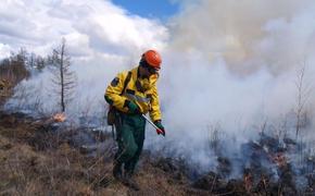За неделю в 39 регионах России потушено 627 лесных пожаров