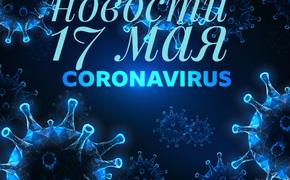 Коронавирус 17 мая: антитело, которое выводит вирус, вакцина и новый порядок выплат медикам