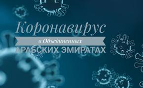 Жесткий карантин ​ в ОАЭ: еду по домам разносили волонтеры и полицейские​