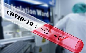 Узнать правду: какие тесты на антитела к коронавирусу можно сдать в России