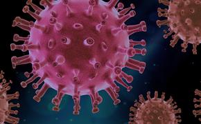 Коронавирус 18 мая: смертность в Испании и Италии резко упала, США обвиняют Китай в намеренном распространении инфекции
