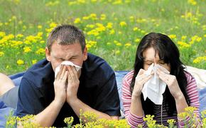 Латвийский врач: Наступает время аллергии