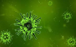 Количество заболевших коронавирусом превысило 6 миллионов