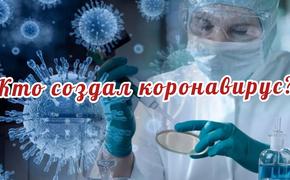 «А что если всё это спланировано?» Возможные создатели коронавируса могут быть виновны и в американских мятежах