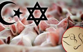 Почему иудеи и мусульмане не едят свинину, а христиане едят