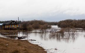 Жители Шацкого района Рязанской области жалуются, что находятся в заточении и не могут покинуть затопленное село 