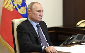 Путин назвал блестящей идею посадить в России 27 миллионов деревьев