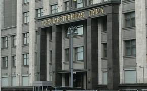 В Госдуме оценили слова украинских экспертов об «ударе» по Сибири: «Хвастуны, неучи и невежды»