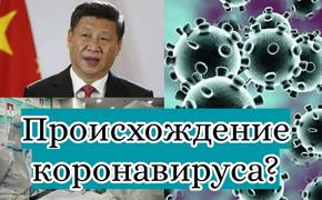 Совершенно секретно. Си Цзиньпин и его руководство скрывают происхождение коронавируса?