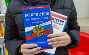 Проголосовать за поправки в Конституцию можно будет на дачном участке