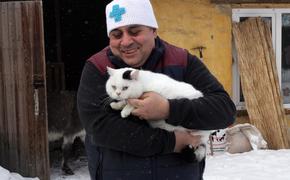 Что ждут от поправок в Конституцию челябинские зоозащитники