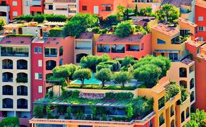 Челябинские многоэтажки могут украсить сады на крышах