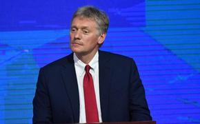 Песков не комментирует обращение Левченко к Путину по поводу выборов