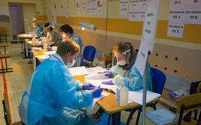 Избирком Челябинской области обработал все протоколы по голосованию