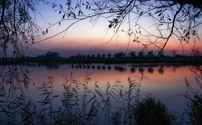 В Подмосковье сотрудник ОМОН спас подростка, который тонул в водоеме