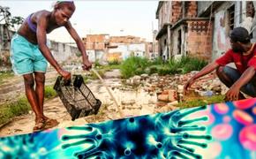 Южная Америка: нищета и мракобесие «помогают» распространению коронавируса ​