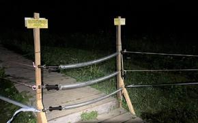 В Кавказском заповеднике туристов от медведей охраняет электропастух