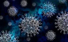 В США создали детектор мгновенного обнаружения коронавируса у человека