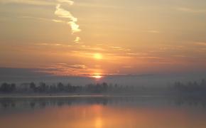 Опубликовано видео, как из воды спасли пермячку «цепью из человек»