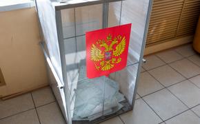 Политолог высказался о легитимности выборов в Челябинской области