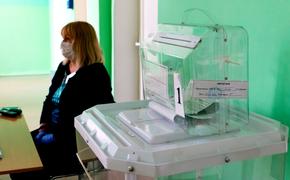 ЦИК не пропустил на выборы в Челябинской области «Возрождение России» и «Яблоко»