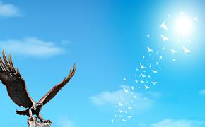 Челябинский ветеран собрал базу данных о погибших в Чечне