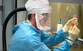 Россия и Китай могут начать совместные исследования коронавируса