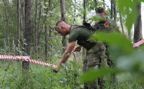 Российский спецназ показал себя в Белоруссии