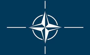 В НАТО призвали Россию раскрыть программу изготовления «Новичка»