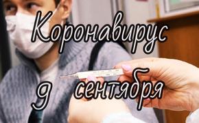 Коронавирус 9 сентября: неточности российской статистики и «живой» аналог вакцины