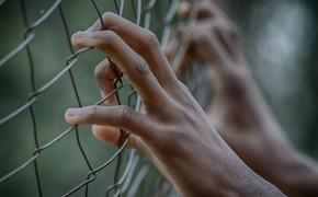 В Словении девушка лишилась руки ради страховки и села в тюрьму на два года 