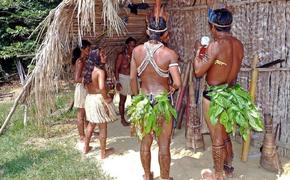 В Бразилии индейцы застрелили из лука ученого