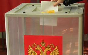 Федеральные эксперты отметили хорошую организацию выборов на Кубани