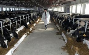 Фермерам Хабаровского края раздадут 26 млн рублей