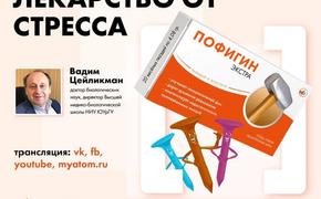 Южноуральские эксперты обсудили лекарство от стресса