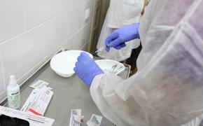 Девять южноуральских школьников заболели коронавирусом