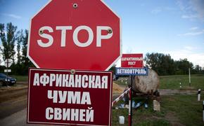 В Хабаровском крае с чумой борются напалмом