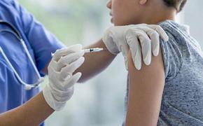 Почти 15% кубанцев провакцинированы от гриппа 