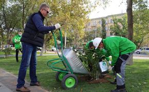 Экологический марафон «Зеленая волна» пришёл в Волгоград