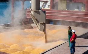 Российскую пшеницу покупают более 100 стран мира