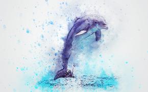На Кубани пытаются освободить краснокнижного дельфина