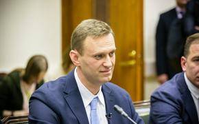 В МВД сообщили о ходе проверки инцидента Навального 
